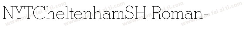 NYTCheltenhamSH Roman字体转换